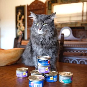 Pet-Supplies